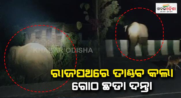 Khabar Odisha:Elephanat-terror-on-NH-53