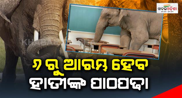 Khabar Odisha:Elephants-Training-will-start-from-6-march