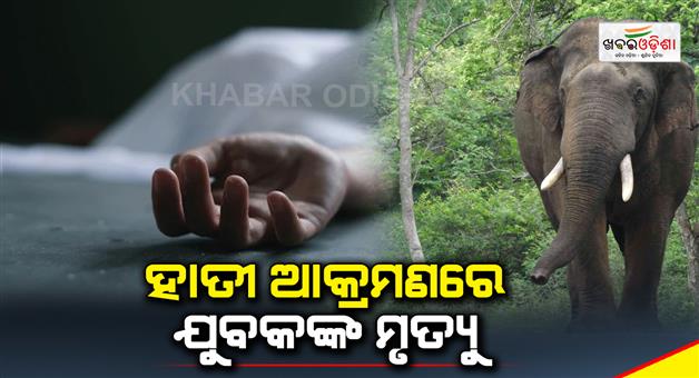 Khabar Odisha:Elephant-attack--1-dead
