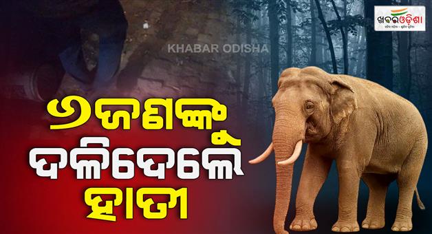 Khabar Odisha:Elephant-attack-6-in-Hazaribagh-village