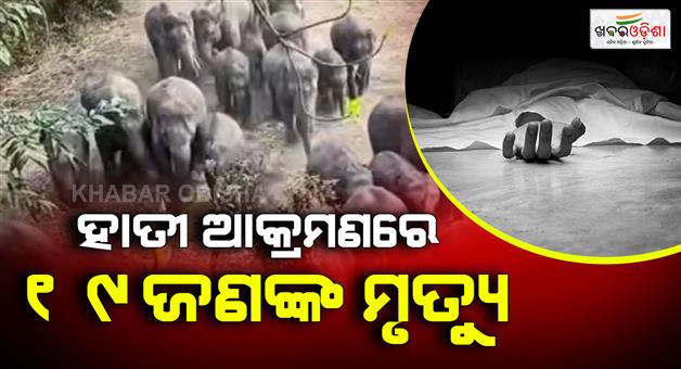 Khabar Odisha:Elephant-attacks-19-deaths-in-9-days-in-West-Singhbhum
