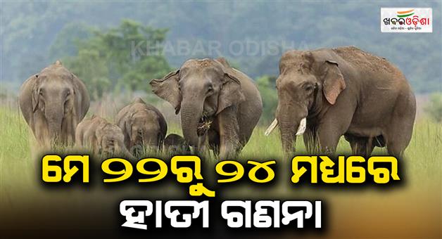 Khabar Odisha:Elephant-census-between-May-22-and-24