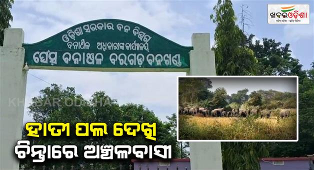 Khabar Odisha:Elephant-terror-in-Baragarh