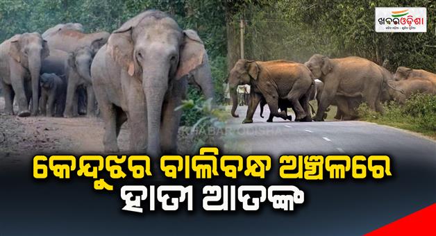 Khabar Odisha:Elephant-terror-in-Keonjhar-Baliban-area