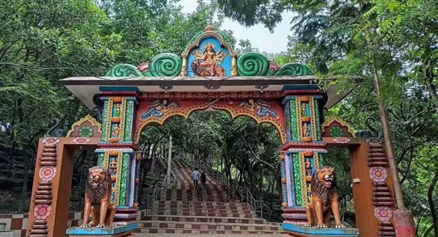 Khabar Odisha:Elephants-are-roaming-in-Shikhar-Chandi-hills-the-Shikhar-Chandi-entry-gate-has-been-locked-by-the-forest-department