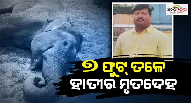 Khabar Odisha:Elephants-body-found-near-suspended-rangers-house