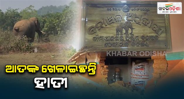 Khabar Odisha:Elephants-terror