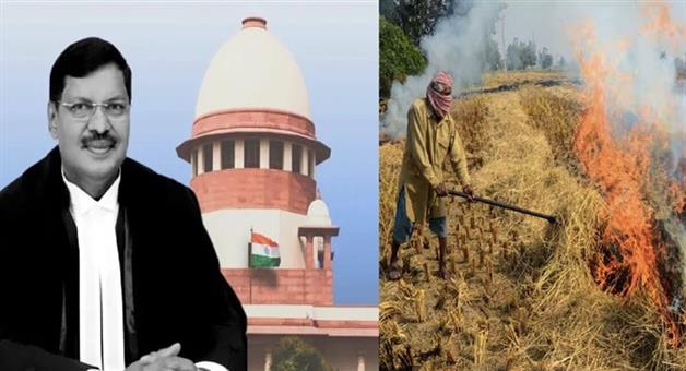 Khabar Odisha:Everything-will-be-fine-if-some-people-are-sent-to-jail-CJI-warns-farmers-against-stubble-burning