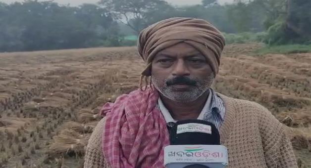 Khabar Odisha:Farmers-worried-about-deficient-rains