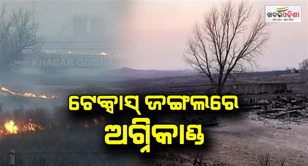 Khabar Odisha:Fast-Spreading-Wildfires-in-Texas-Panhandle-Prompt-Evacuations