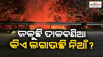 Khabar Odisha:Fire-Returns-to-Talabania-Forest-Wildlife-Faces-Growing-Danger