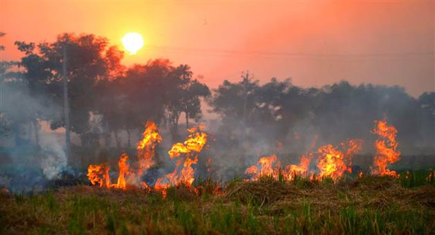 Khabar Odisha:Fire-from-Pakistan-burns-Indian-farmers-fields-150-acres-of-land-burnt-to-ashes