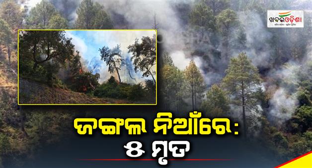 Khabar Odisha:Fire-in-Forest--5-dead