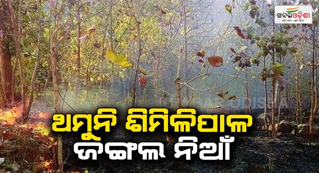 Khabar Odisha:Fire-in-Similipal-Forest
