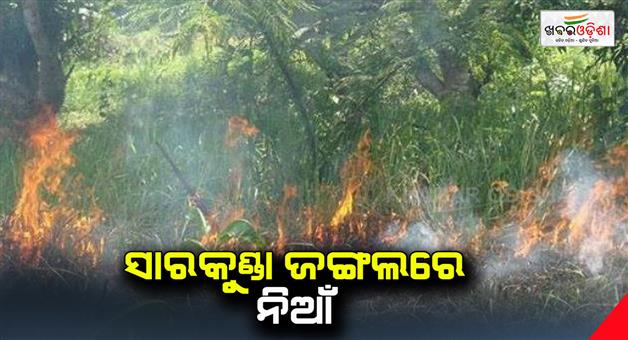 Khabar Odisha:Fire-in-sarkunda-forest