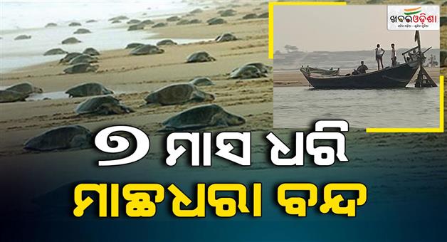 Khabar Odisha:Fishing-will-remain-closed-in-Gahirmatha-area-for-7-months