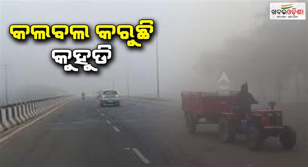 Khabar Odisha:Fog-is-gathering-More-caution-during-the-morning