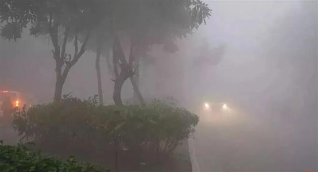 Khabar Odisha:Fog-turns-deadly-over-30-vehicles-collide-in-Uttar-Pradesh