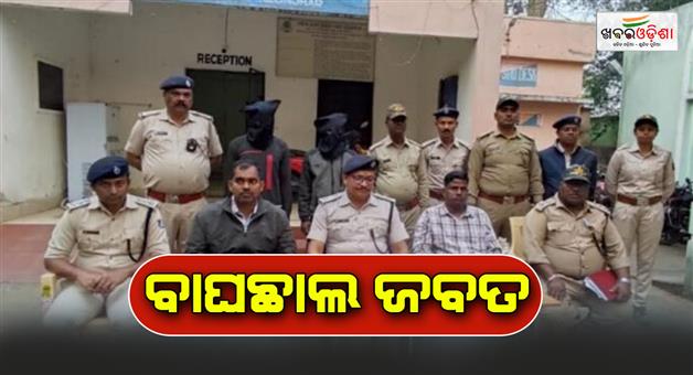 Khabar Odisha:Forest-Department-seizes-tiger-skin