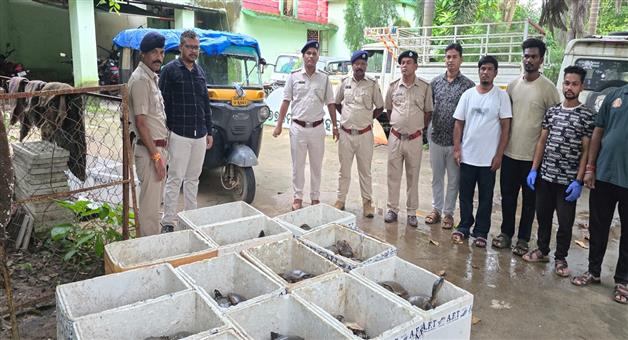 Khabar Odisha:Forest-Department-seizes-155-live-turtles-near-Tamsa-village-in-Malkangiri-Forest-Division