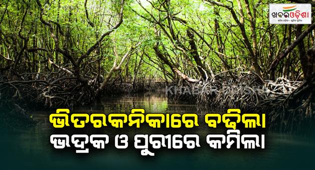 Khabar Odisha:Forest-Survey-of-India-2023-report-out-mangrove-forest-are-expanding-in-Bhitarkanika