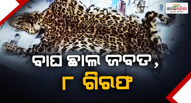 Khabar Odisha:Forest-department-busts-tiger-skin-deal-8-arrested-leopard-skin-seized
