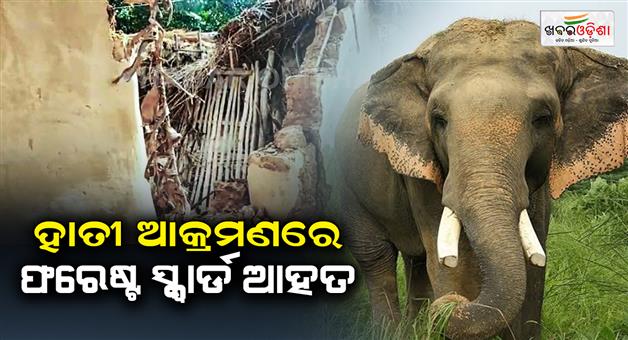 Khabar Odisha:Forest-department-staff-injured-in-elephant-attack