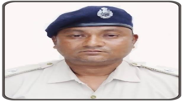Khabar Odisha:Forester-suspended-over-allegations-of-tree-felling-and-financial-irregularities
