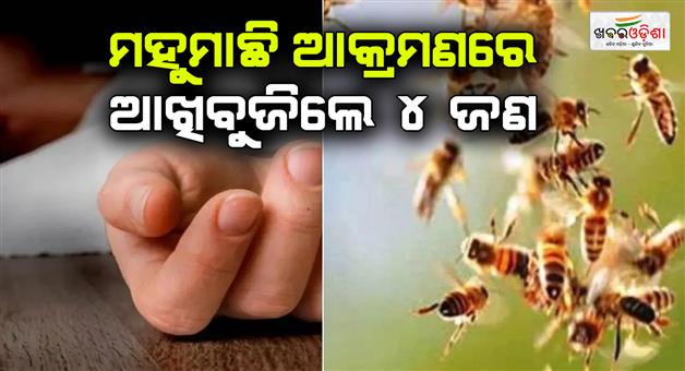 Khabar Odisha:Four-people-of-the-same-family-died-in-honey-bee-attack