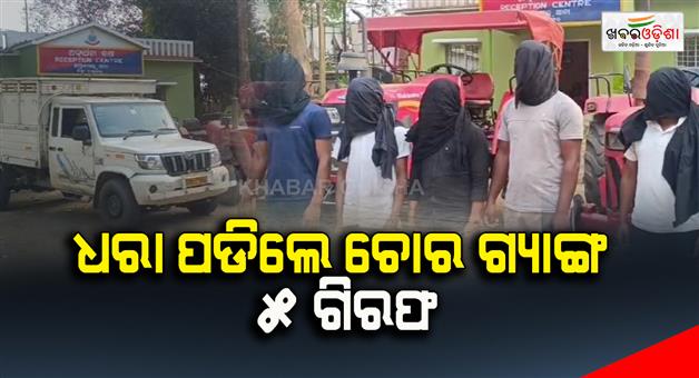 Khabar Odisha:Gang-of-thieves-caught-4-tractors-1-pick-up-vehicle-and-10-gas-cylinders-seized-5-arrested