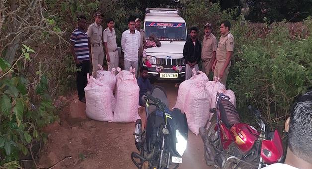 Khabar Odisha:Ganja-seized--2-arrest