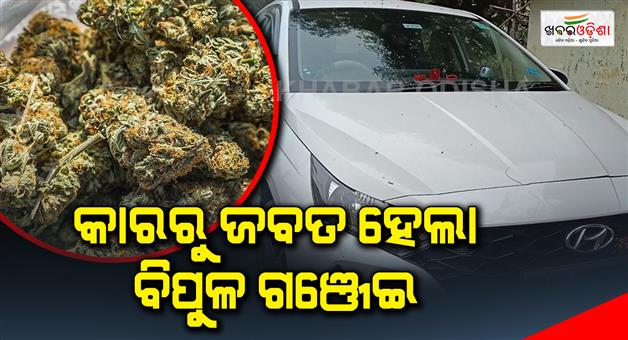 Khabar Odisha:Ganja-seized-from-the-car