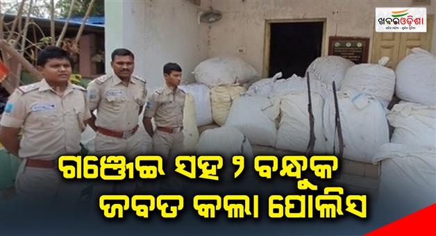 Khabar Odisha:Ganja-seized-in-Kandhamal