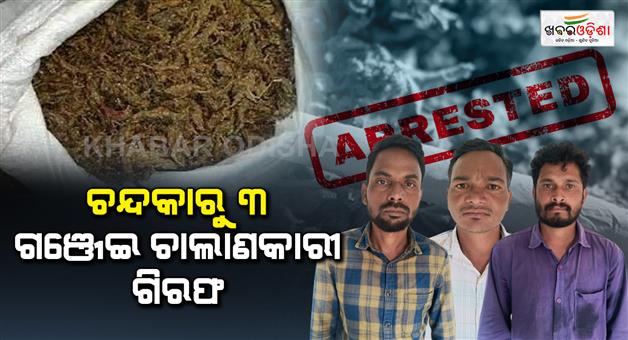 Khabar Odisha:Ganjaseized-three-arrested