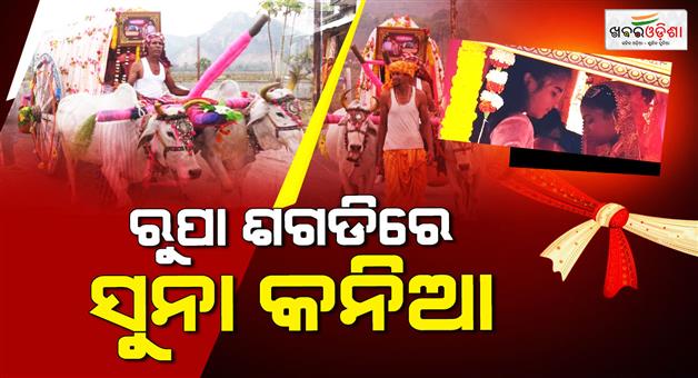 Khabar Odisha:Golden-Bride-in-Silver-Bullock-Cart
