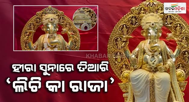 Khabar Odisha:Golden-Ganesh—known-as-the-King-of-Lychees