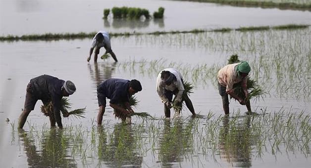 Khabar Odisha:Good-news-for-landless-farmers-loan-up-to-Rs-2-lakh-without-collateral