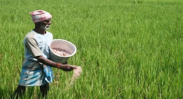Khabar Odisha:Government-orders-to-promote-substitudes-of-dap-and-urea