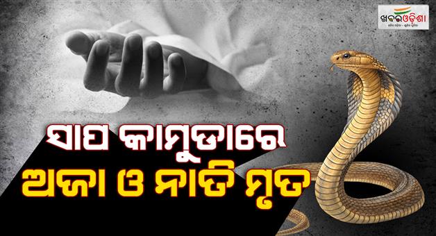 Khabar Odisha:Grandparents-and-grandchildren-die-from-snake-bite