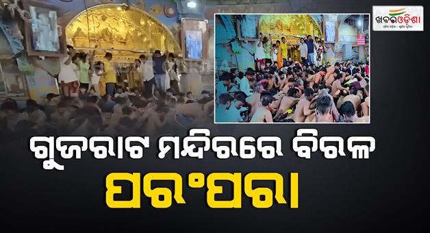 Khabar Odisha:Gujarat-Dakor-temple-prasad-3000-kilogram-Annakoot-looted-ceremony