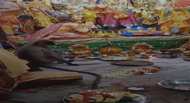 Khabar Odisha:Hanuman-is-coming-to-listen-to-Ramacharit-Manas