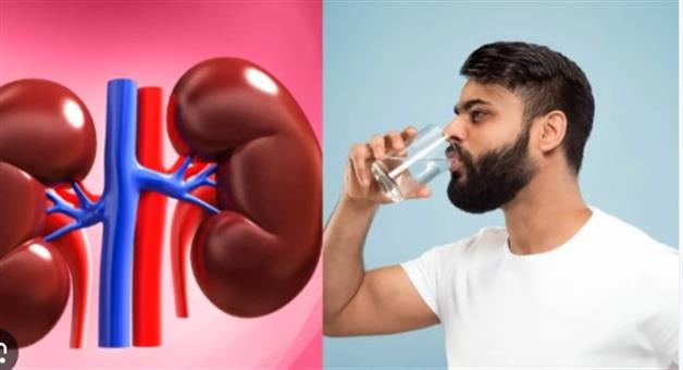 Khabar Odisha:Health-Tips-How-many-liters-of-water-should-be-drunk-daily-for-kidneys