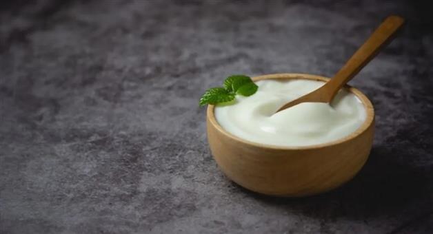 Khabar Odisha:Health-Tips-Is-it-dangerous-to-eat-yogurt-every-day-The-growth-of-good-bacteria-can-also-be-harmful