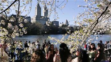 Khabar Odisha:Heatwave-in-US-set-to-shatter-all-records-this-time