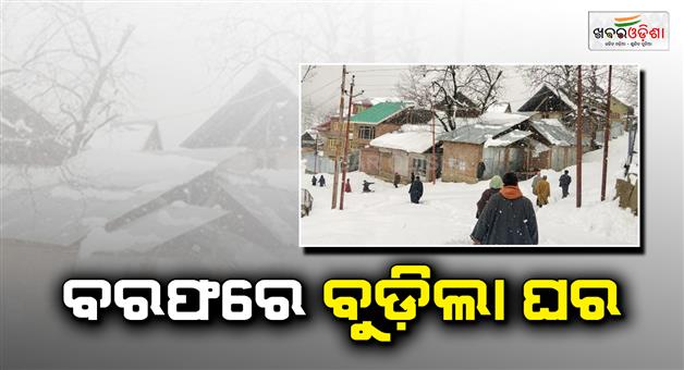 Khabar Odisha:Heavy-rain-and-fog-in-north-India-winter-forecast-IMD