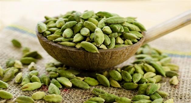 Khabar Odisha:Helps-digestion-Gujarati
