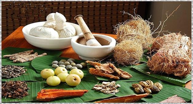 Khabar Odisha:Herbal-medicines-are-now-becoming-a-lifeline-for-people