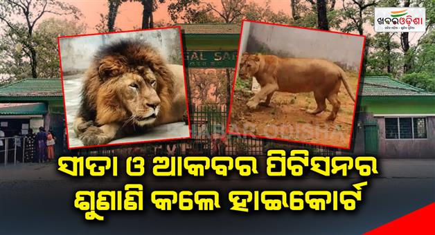 Khabar Odisha:High-Court-asks-Bengal-to-rename-tigers