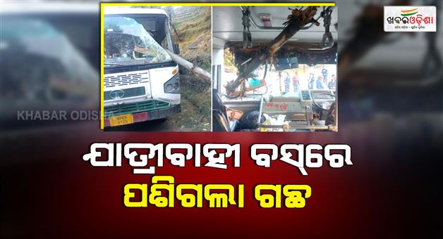Khabar Odisha:Himachal-Pradesh-HRTC-bus-accident-tree-fall-on-vehicle-in-Mandi
