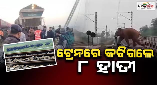 Khabar Odisha:Horrific-train-accident-8-elephants-killed-in-Rajdhani-Express